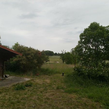 New Home Langendorf  Exterior photo